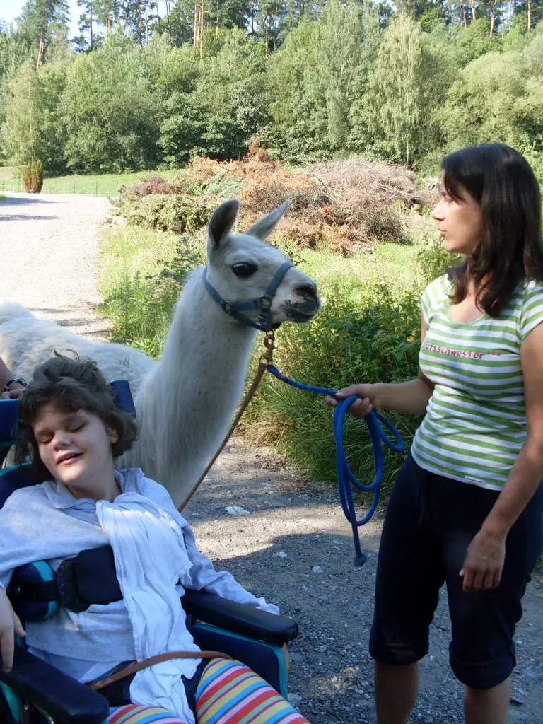 ferien-ohne-handicap_feriencamp-2012_0016_mini