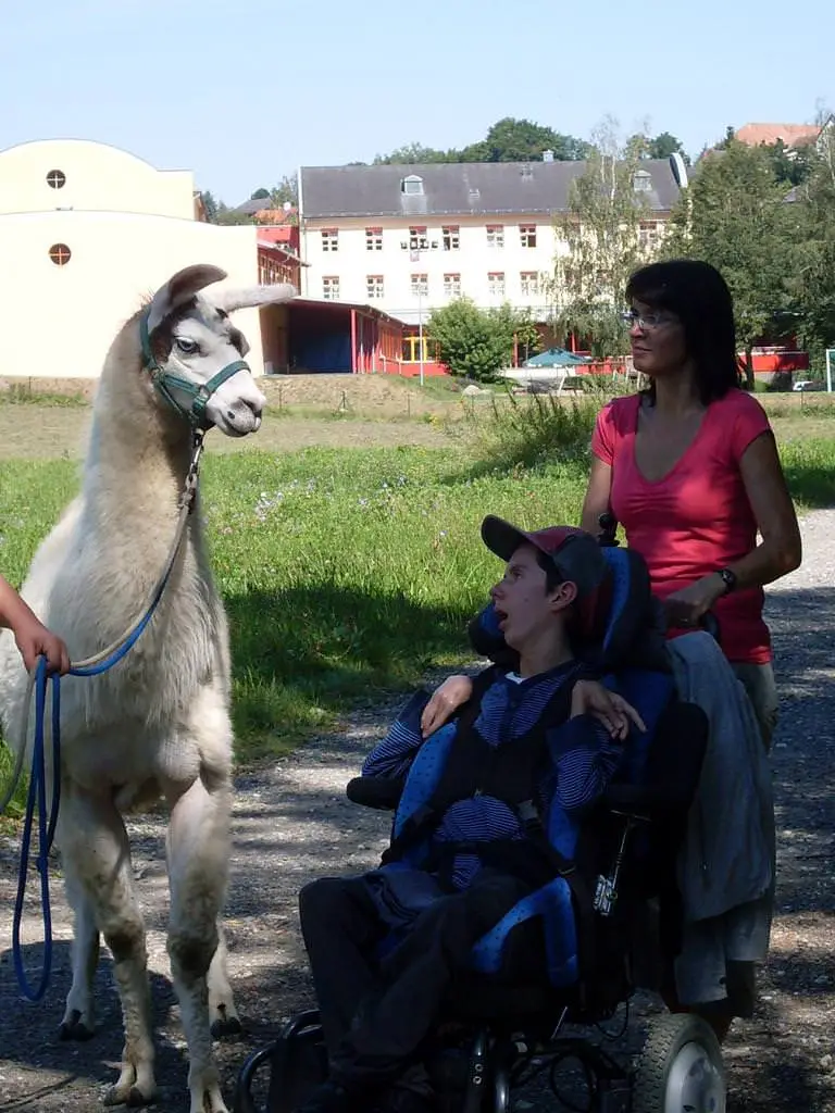 ferien-ohne-handicap_feriencamp-2012_0019_mini