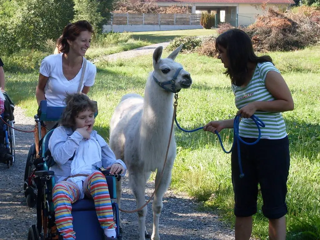 ferien-ohne-handicap_feriencamp-2012_0021_mini
