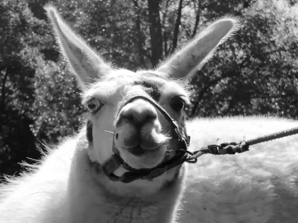 ferien-ohne-handicap_feriencamp-2012_0022_mini