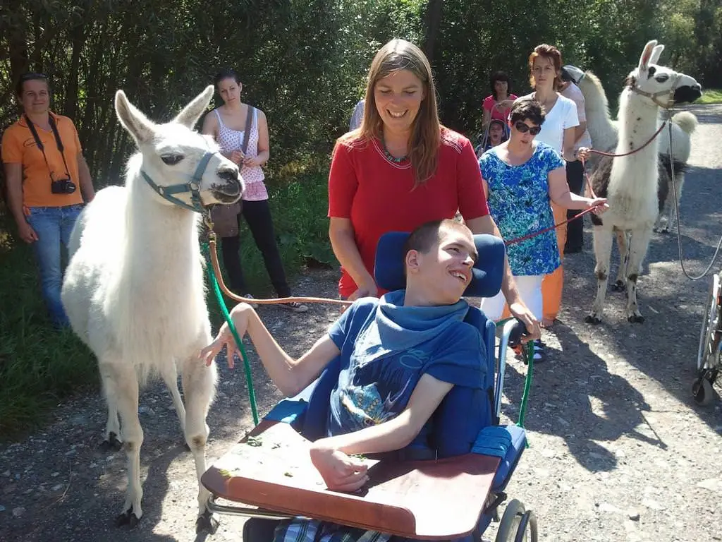 ferien-ohne-handicap_feriencamp-2012_0023_mini