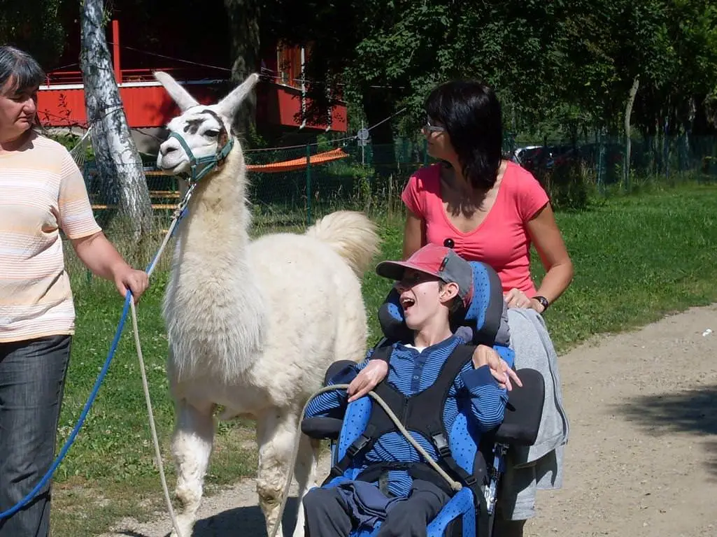 ferien-ohne-handicap_feriencamp-2012_0026_mini