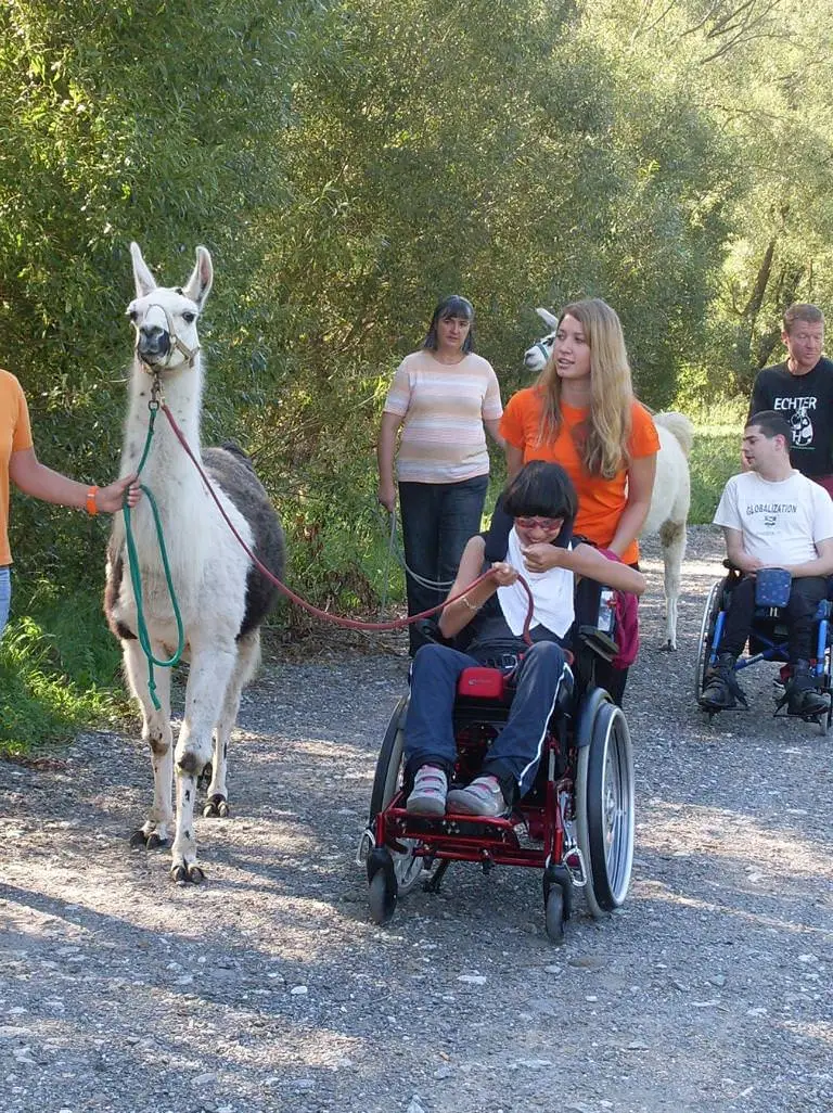 ferien-ohne-handicap_feriencamp-2012_0028_mini