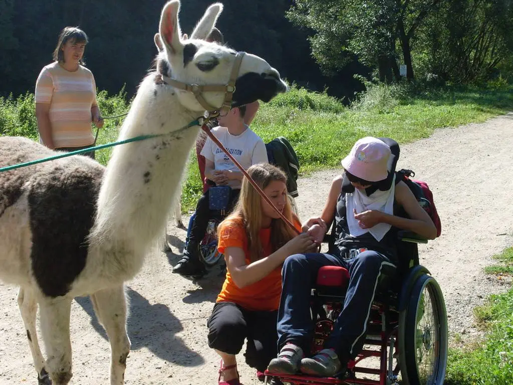 ferien-ohne-handicap_feriencamp-2012_0029_mini