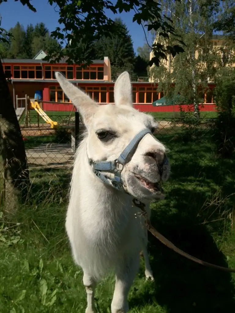 ferien-ohne-handicap_feriencamp-2012_0030_mini