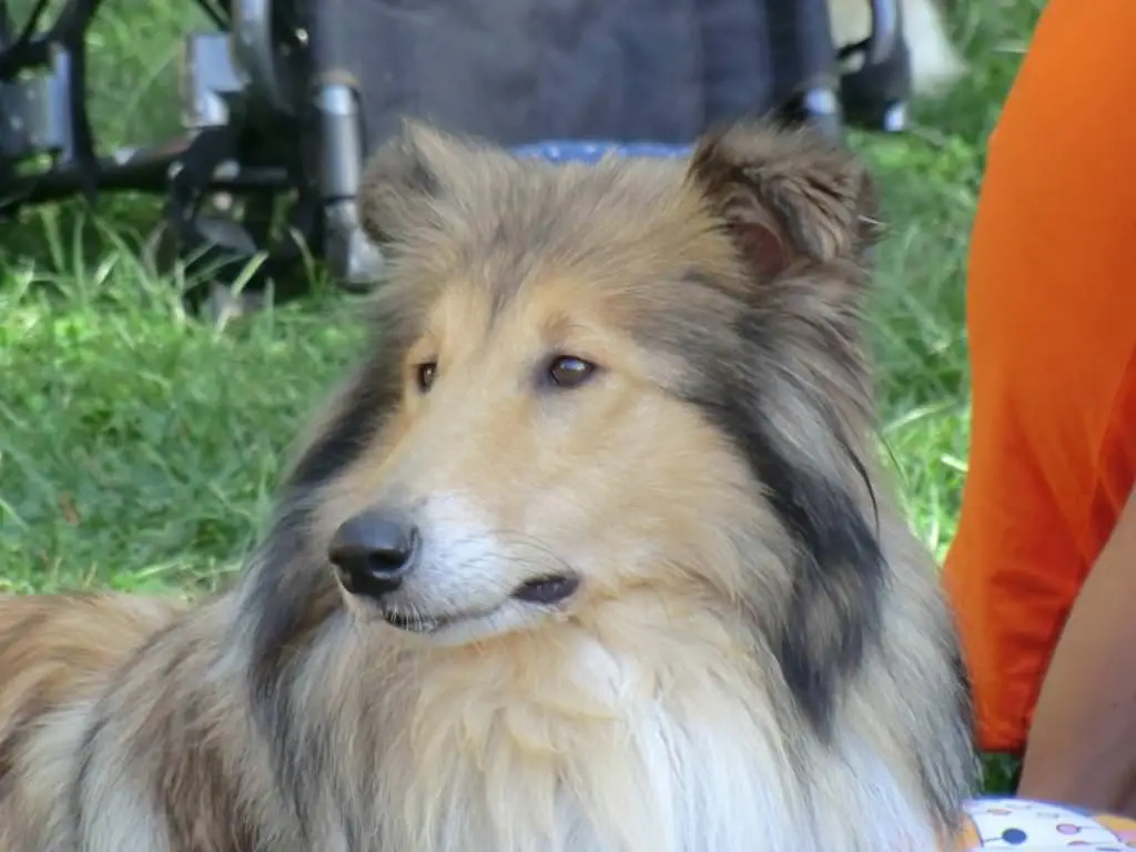 ferien-ohne-handicap_feriencamp-2012_0084_mini