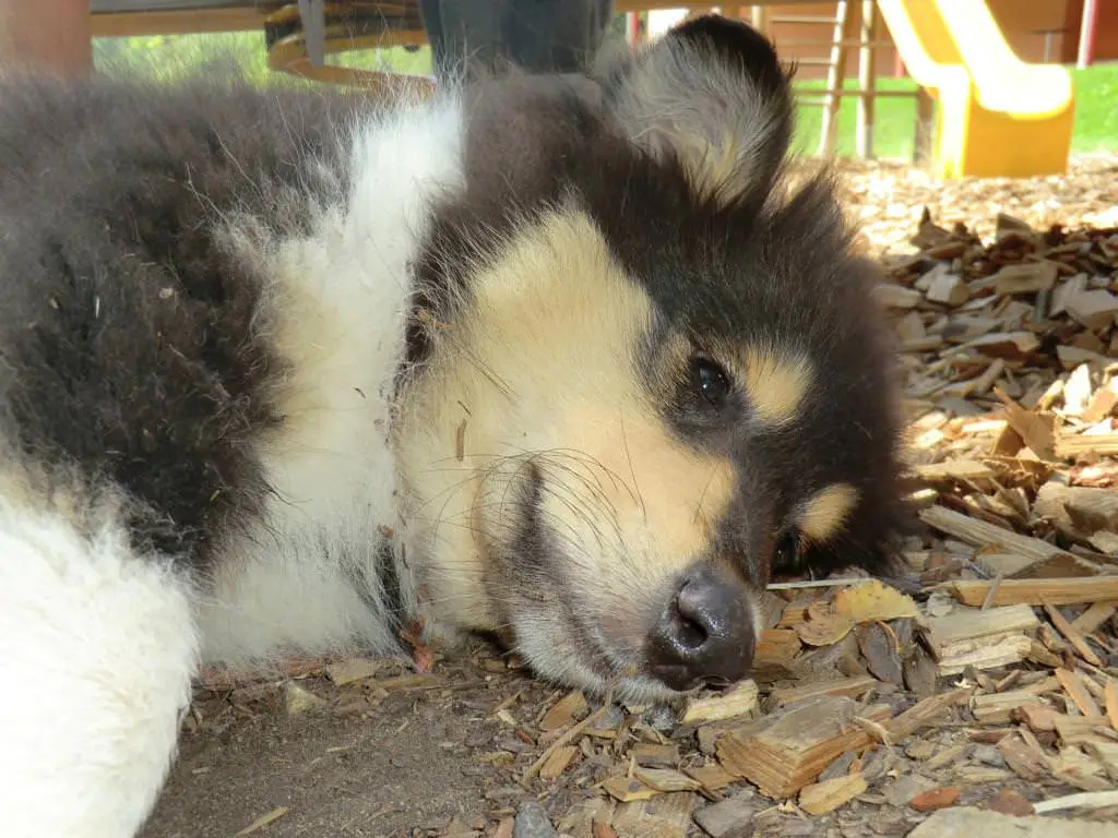 ferien-ohne-handicap_feriencamp-2012_0085_mini