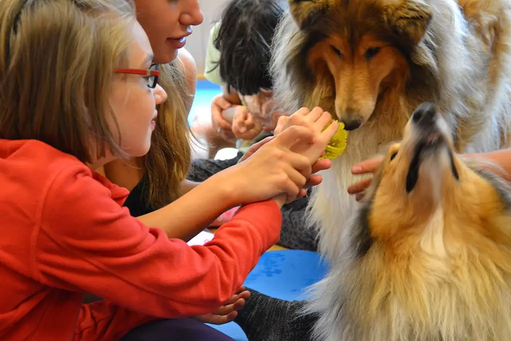 ferien-ohne-handicap_feriencamp-2013_0007_mini