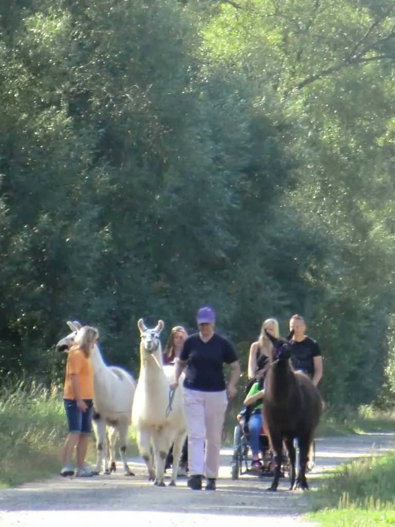 ferien-ohne-handicap_feriencamp-2013_0015_mini