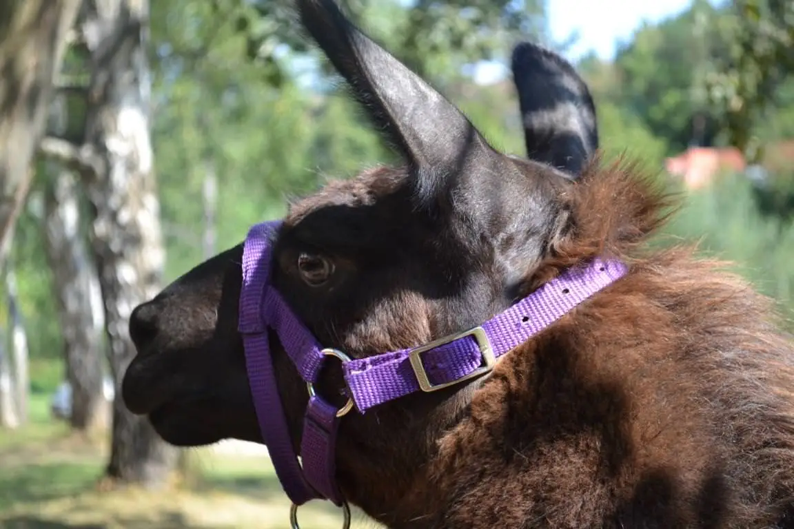 ferien-ohne-handicap_feriencamp-2013_0024_mini