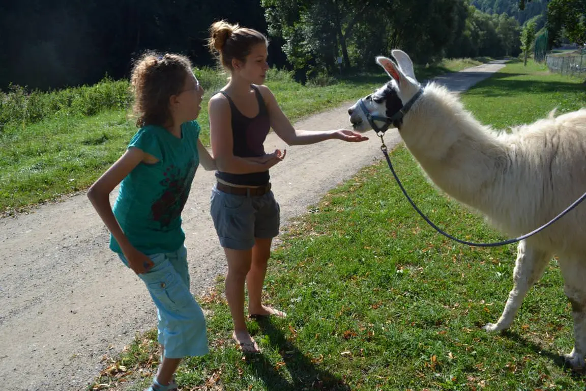 ferien-ohne-handicap_feriencamp-2013_0025_mini