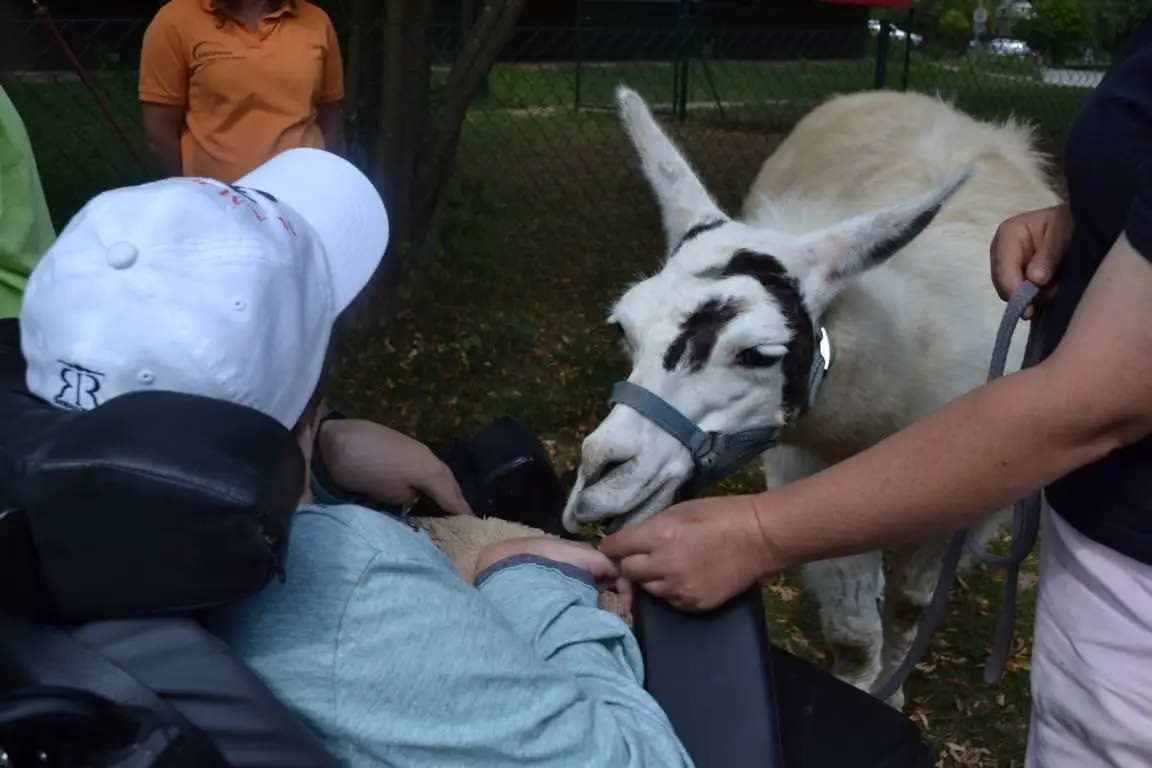 ferien-ohne-handicap_feriencamp-2013_0027_mini