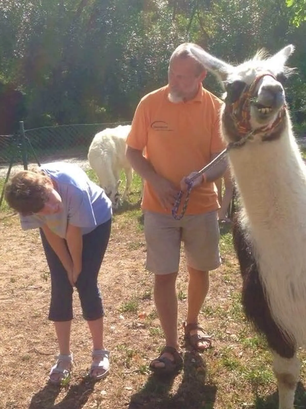 ferienohnehandicap-camp-I-2017_heiteres_003