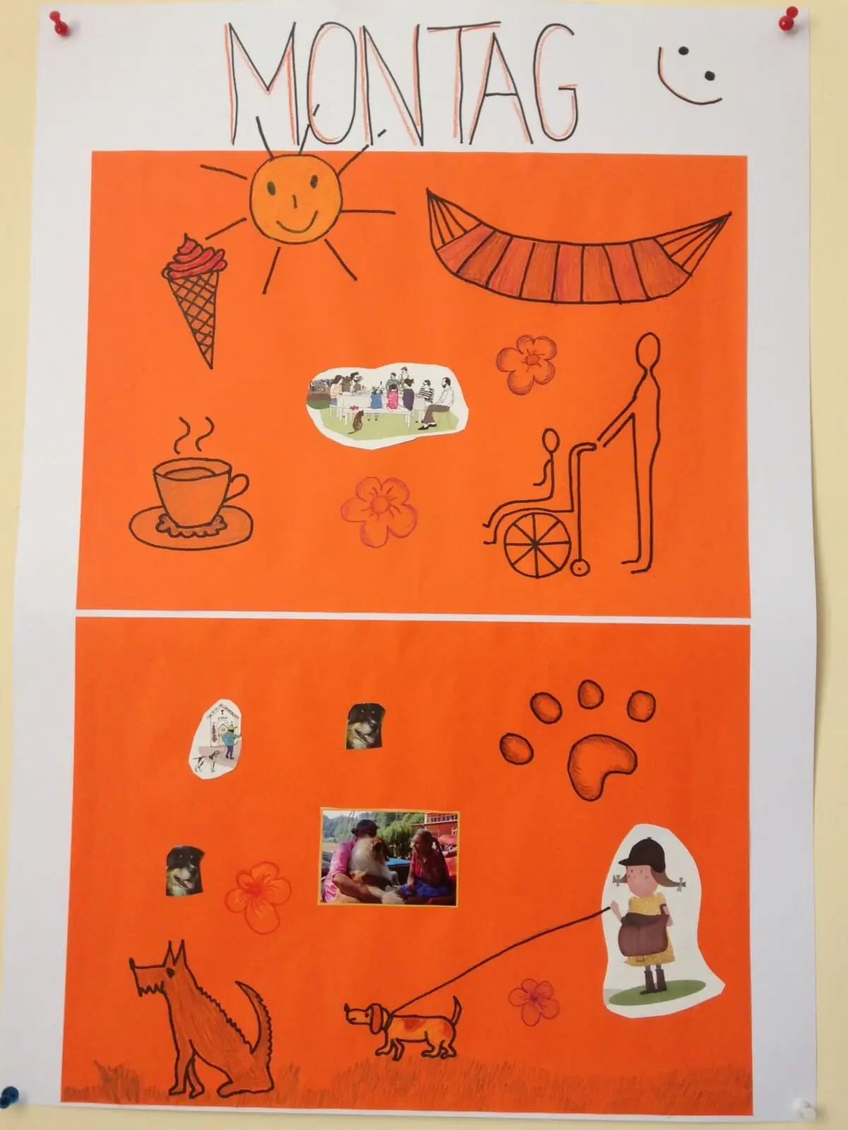 ferienohnehandicap-camp-I-2017_hunde_001