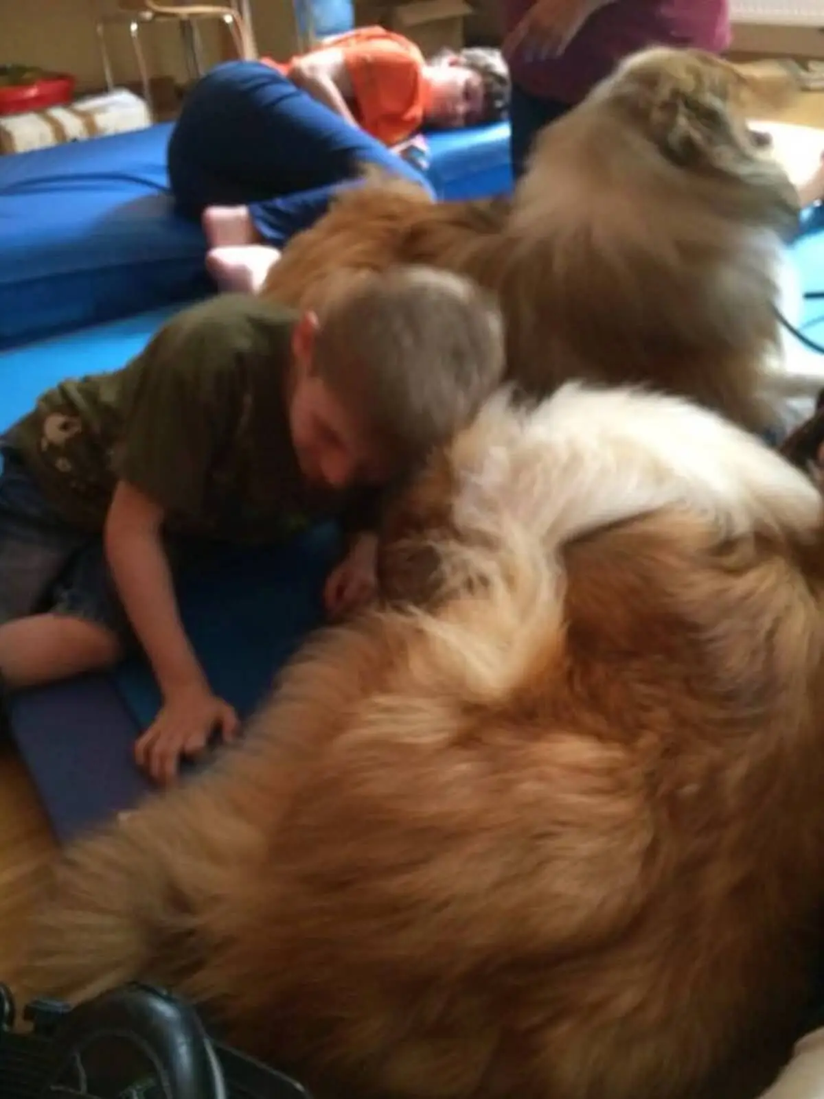 ferienohnehandicap-camp-I-2017_hunde_005