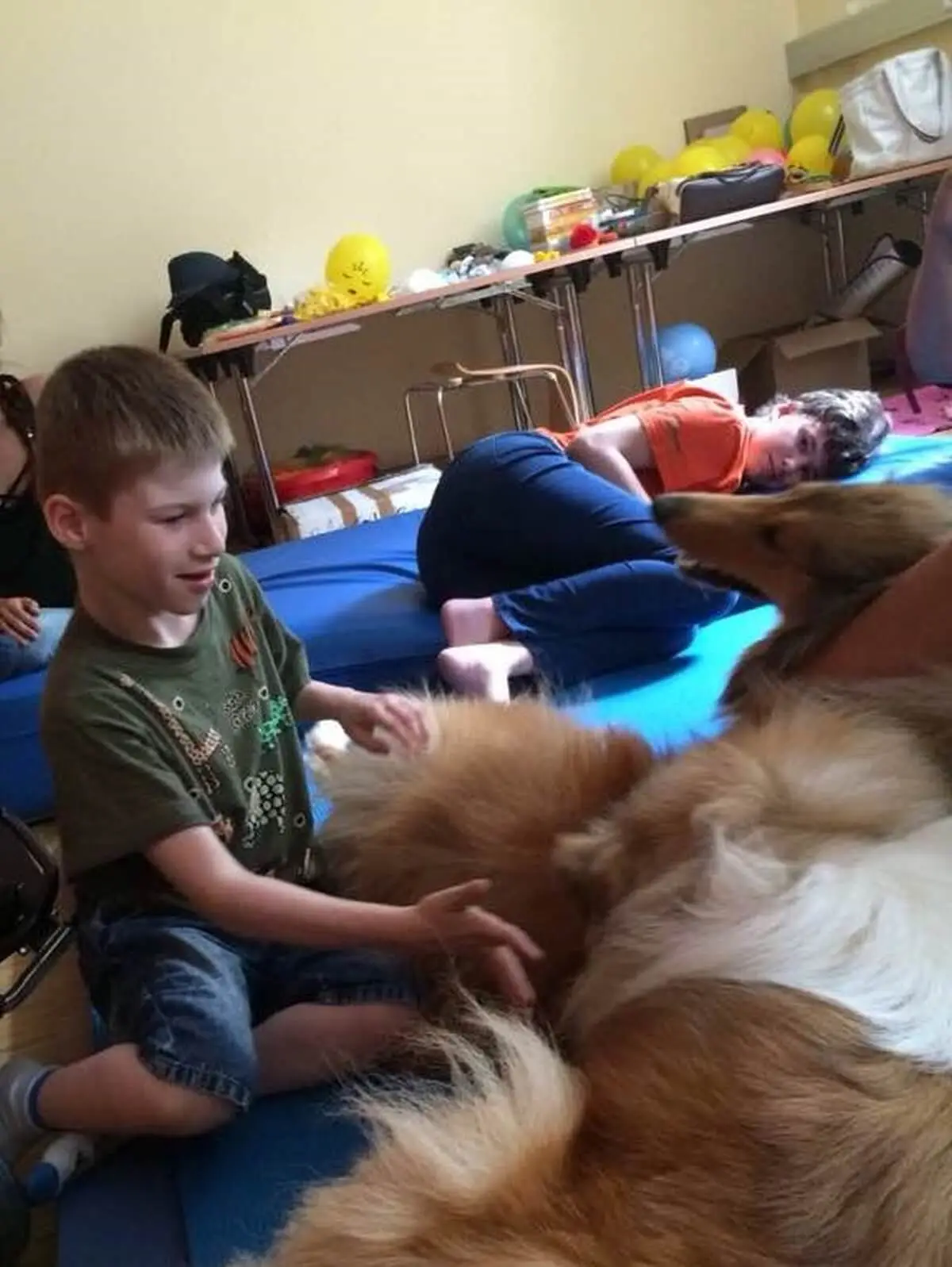 ferienohnehandicap-camp-I-2017_hunde_007