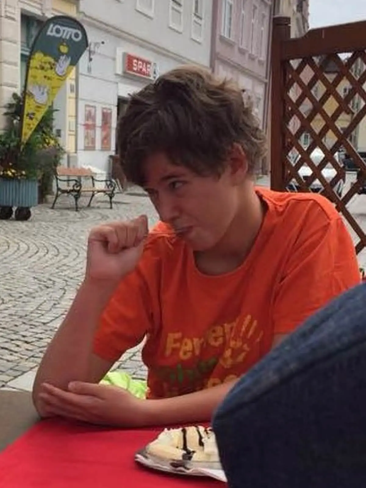 ferienohnehandicap-camp-I-2017_hunde_008