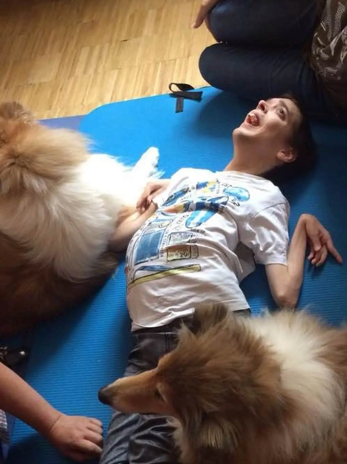 ferienohnehandicap-camp-I-2017_hunde_010