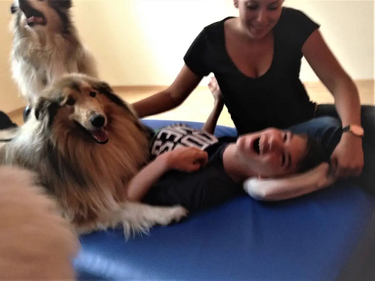 ferienohnehandicap-camp-I-2017_hunde_014