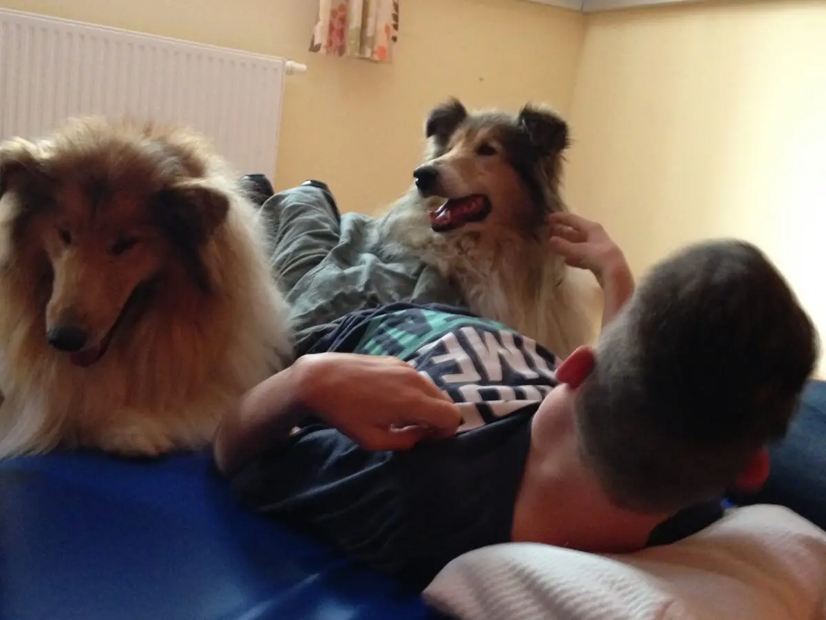 ferienohnehandicap-camp-I-2017_hunde_015