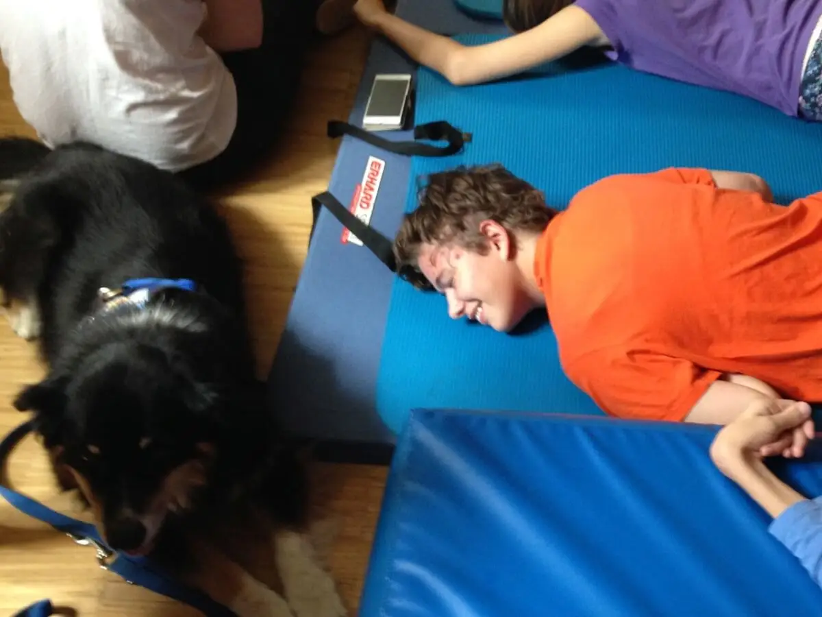 ferienohnehandicap-camp-I-2017_hunde_016