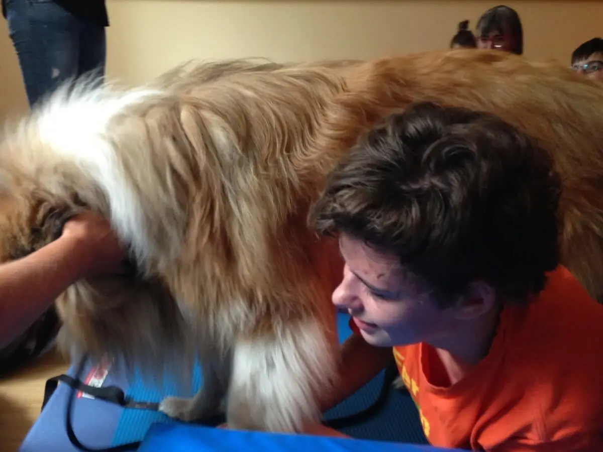 ferienohnehandicap-camp-I-2017_hunde_017