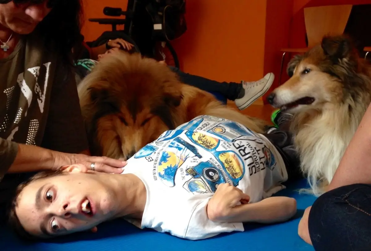 ferienohnehandicap-camp-I-2017_hunde_018