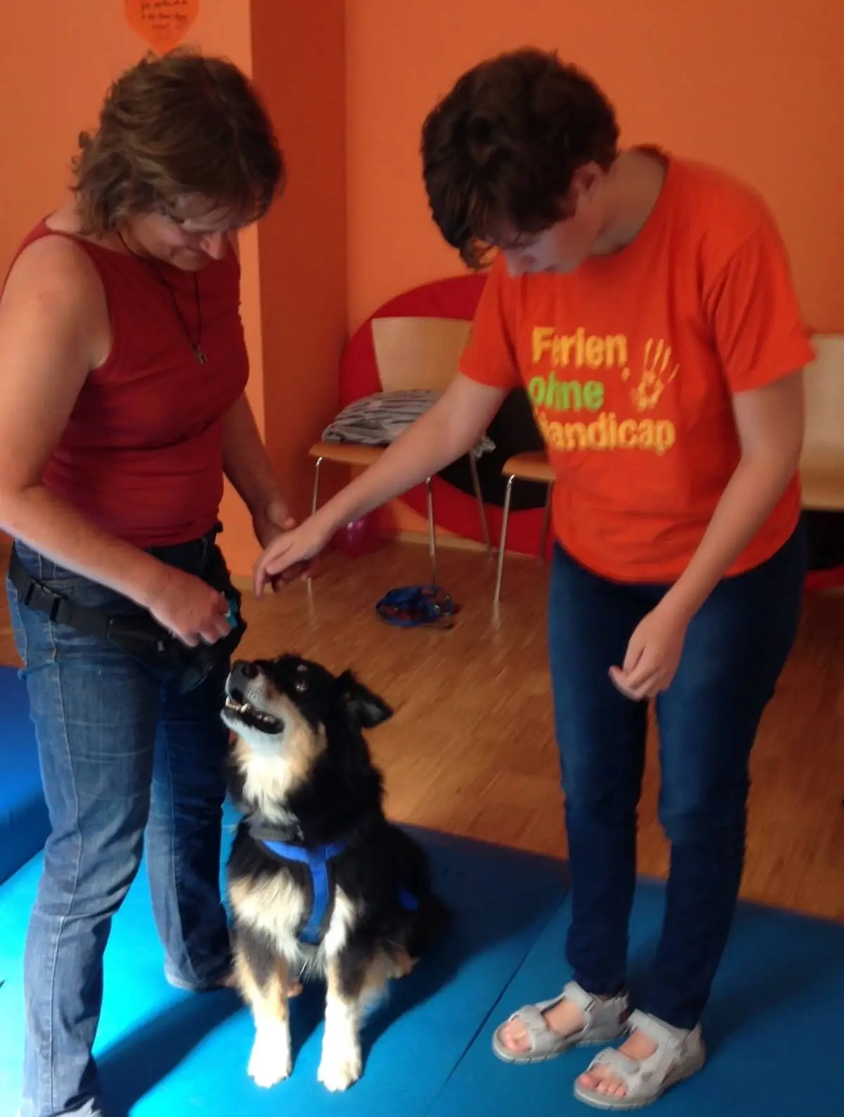 ferienohnehandicap-camp-I-2017_hunde_020