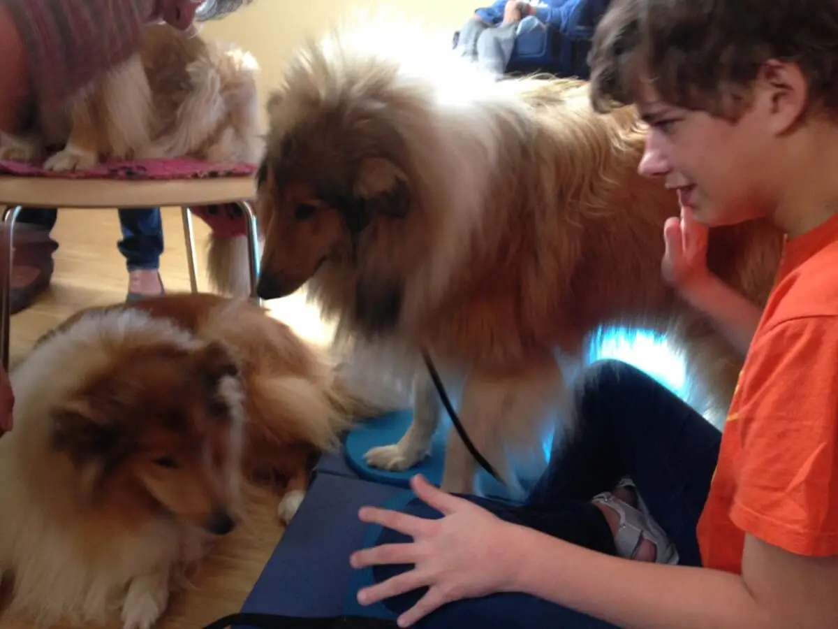 ferienohnehandicap-camp-I-2017_hunde_021