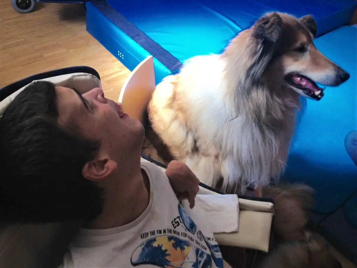 ferienohnehandicap-camp-I-2017_hunde_022