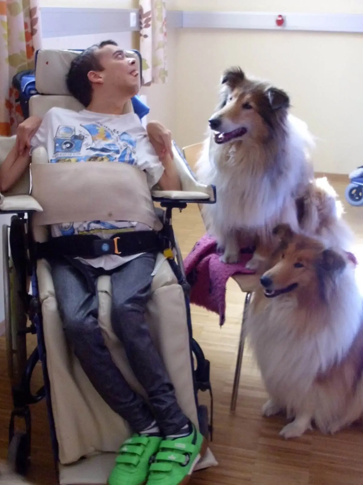 ferienohnehandicap-camp-I-2017_hunde_023