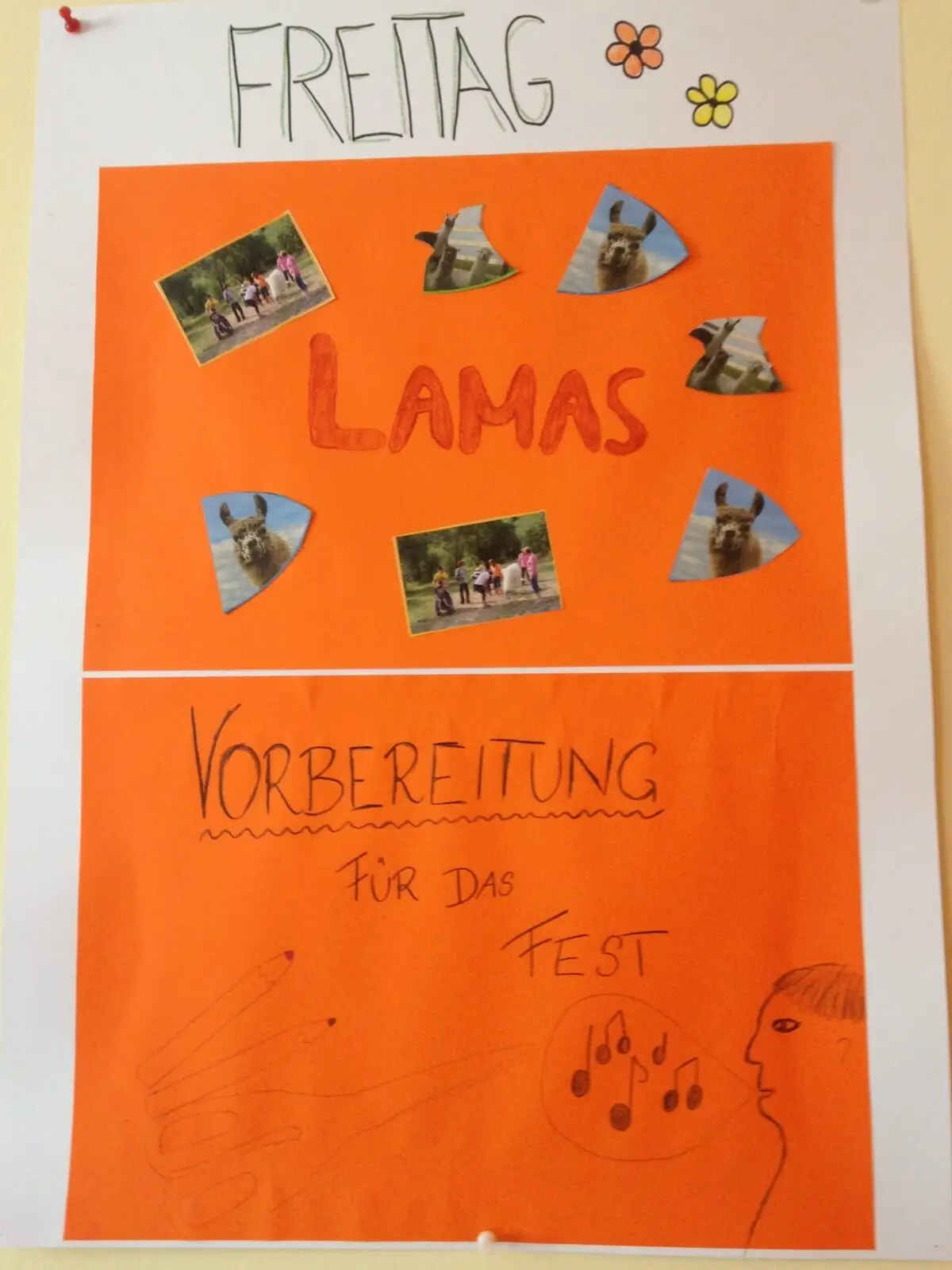 ferienohnehandicap-camp-I-2017_lamas_001