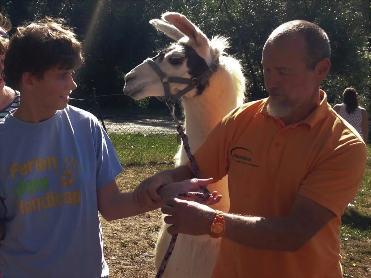ferienohnehandicap-camp-I-2017_lamas_002