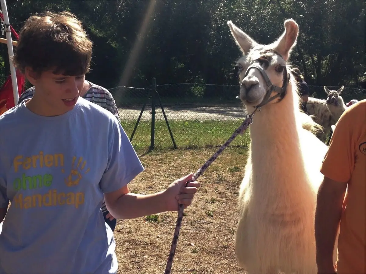 ferienohnehandicap-camp-I-2017_lamas_003