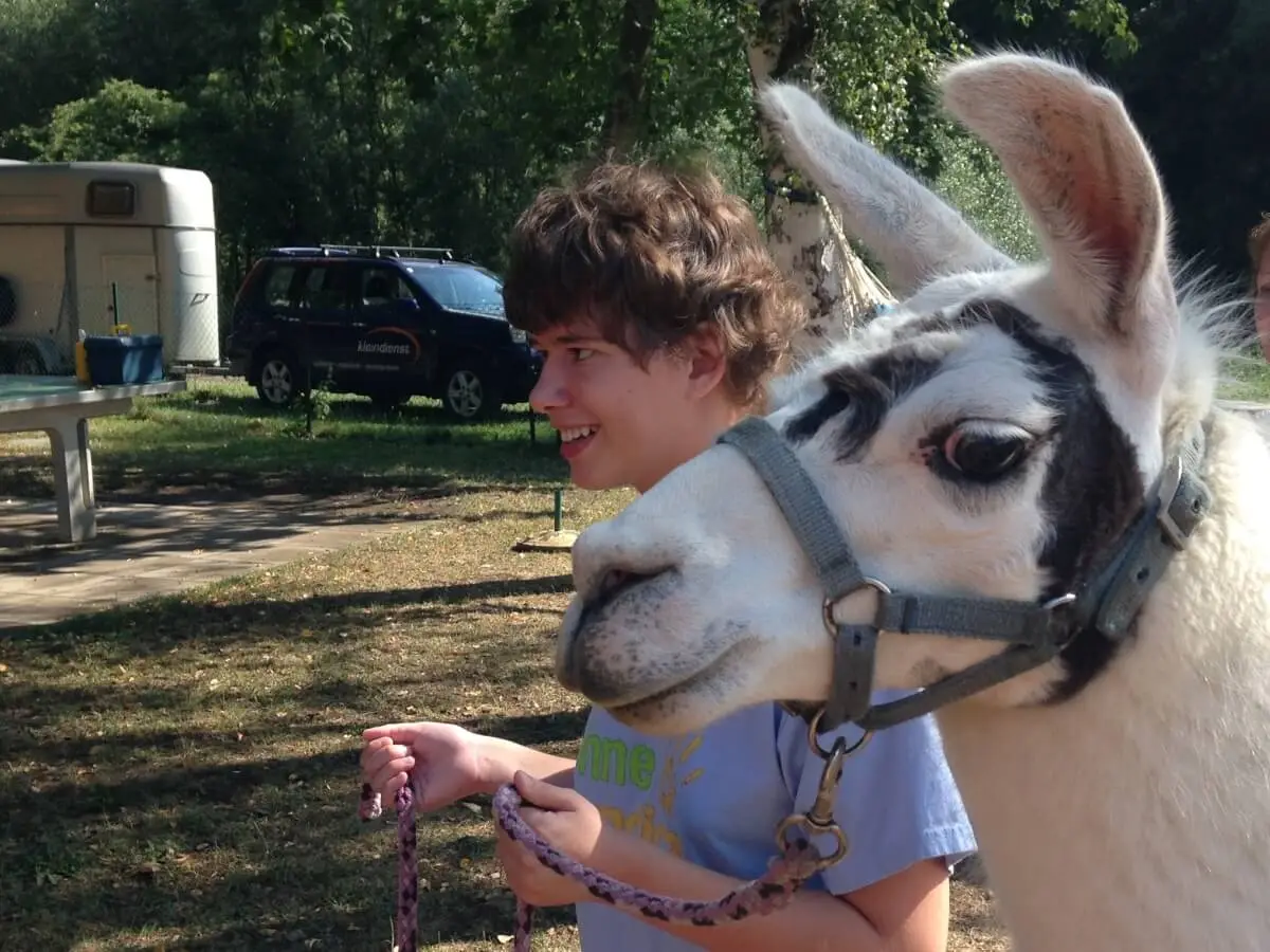 ferienohnehandicap-camp-I-2017_lamas_004