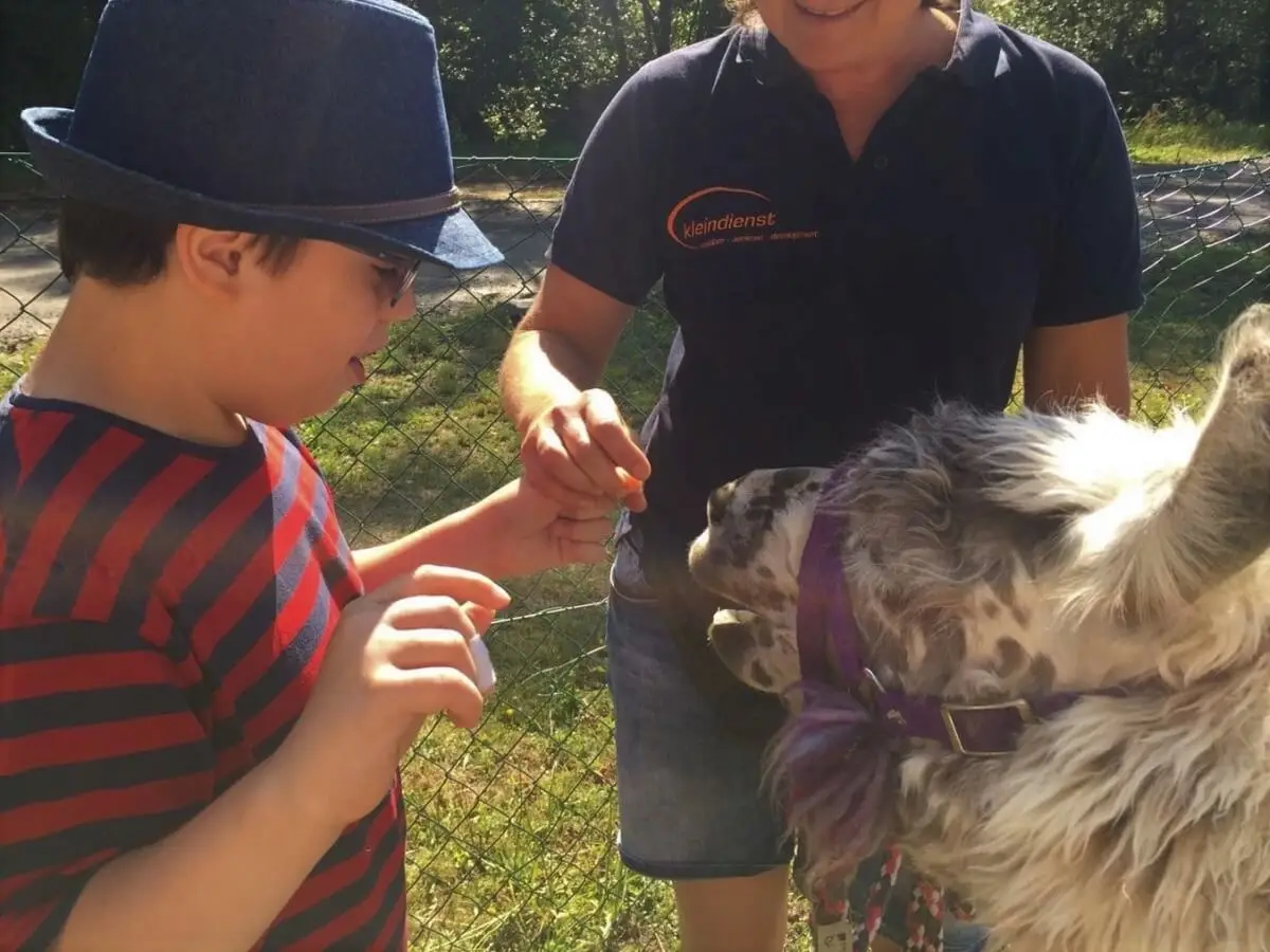 ferienohnehandicap-camp-I-2017_lamas_005