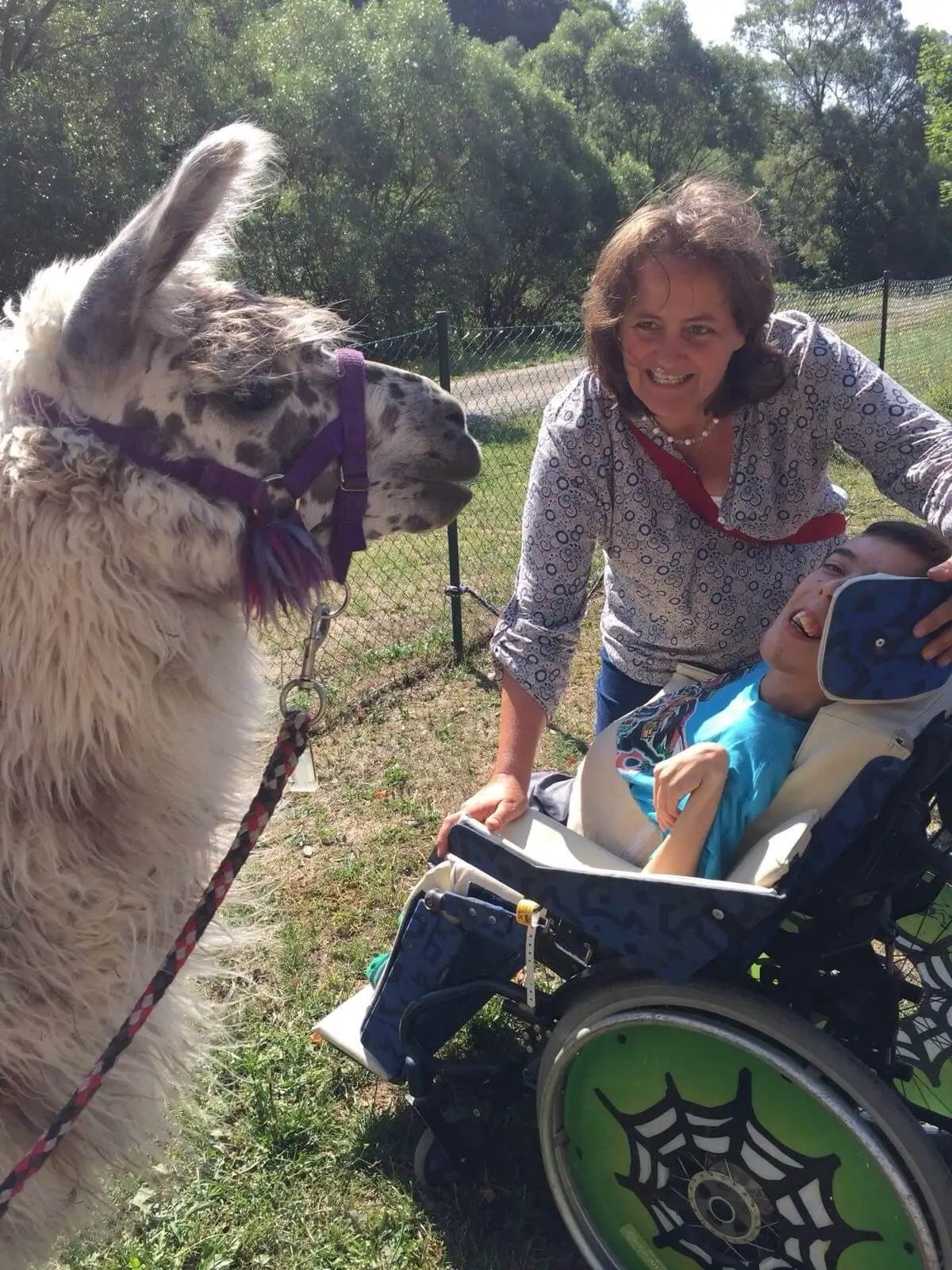 ferienohnehandicap-camp-I-2017_lamas_007