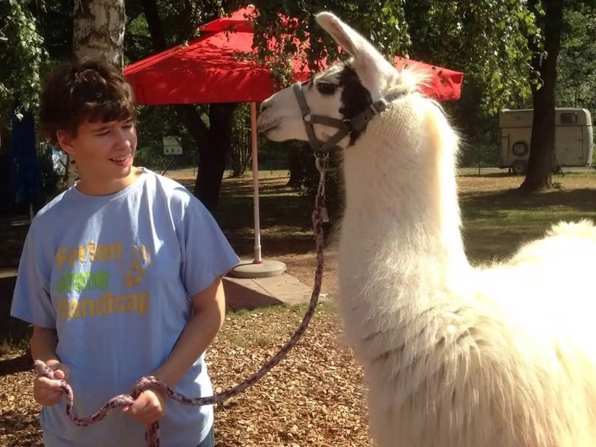 ferienohnehandicap-camp-I-2017_lamas_009