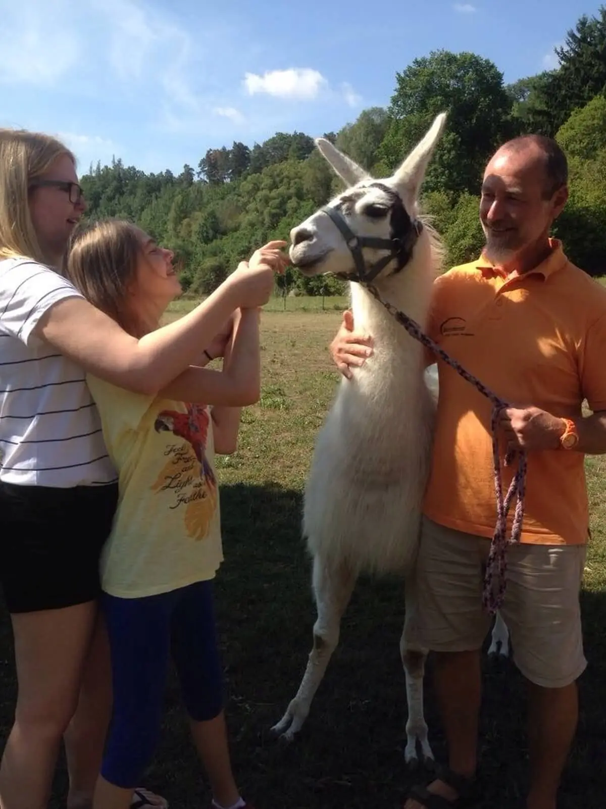 ferienohnehandicap-camp-I-2017_lamas_010