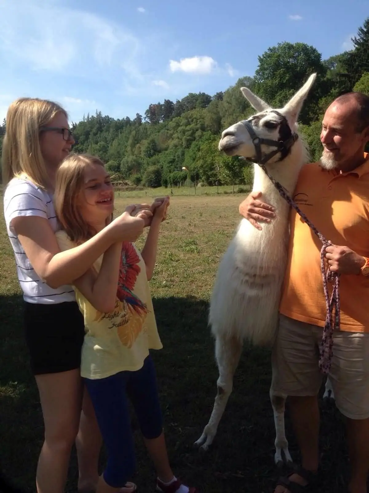 ferienohnehandicap-camp-I-2017_lamas_011