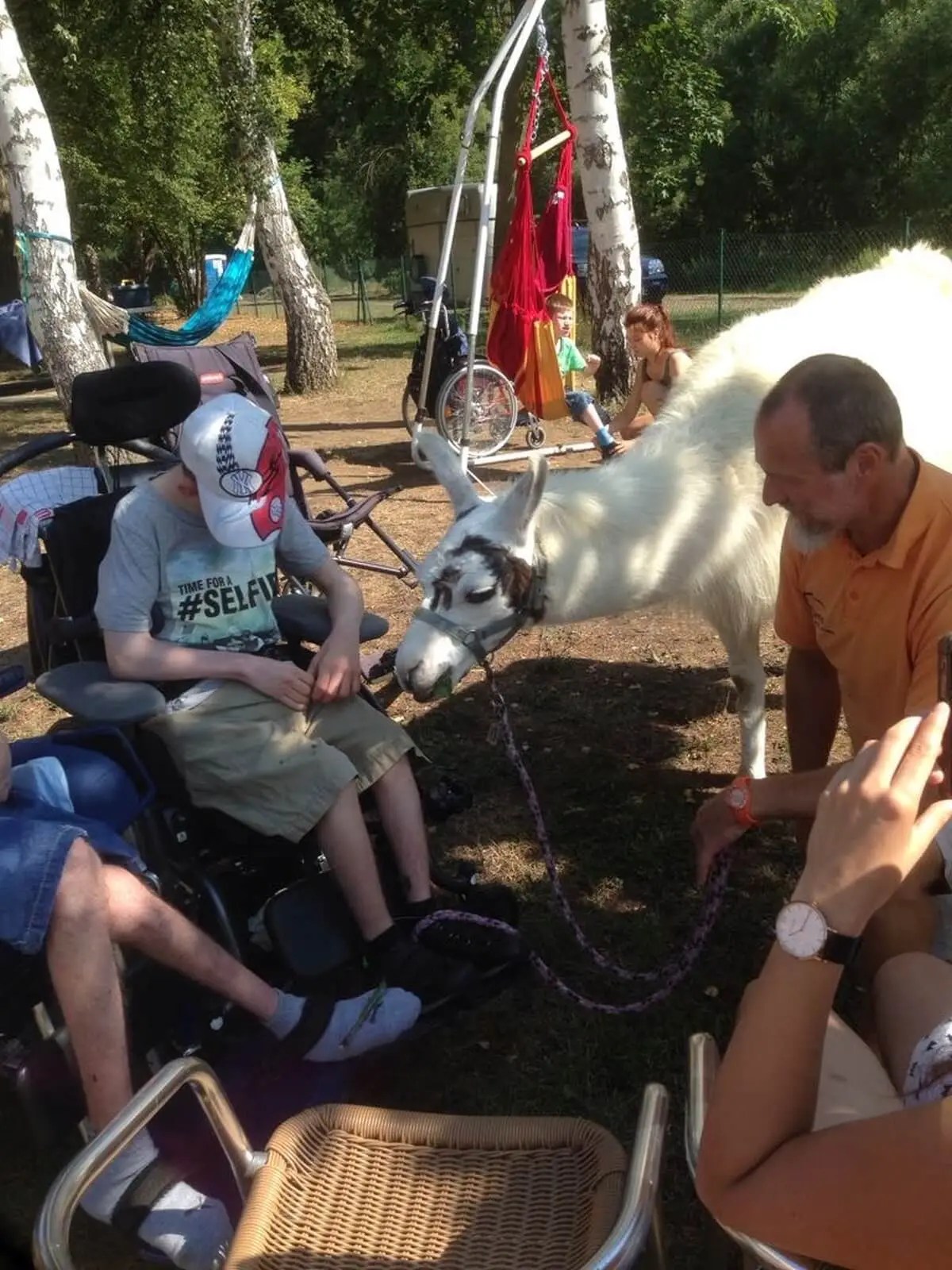 ferienohnehandicap-camp-I-2017_lamas_013