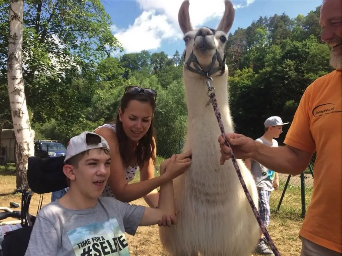 ferienohnehandicap-camp-I-2017_lamas_021