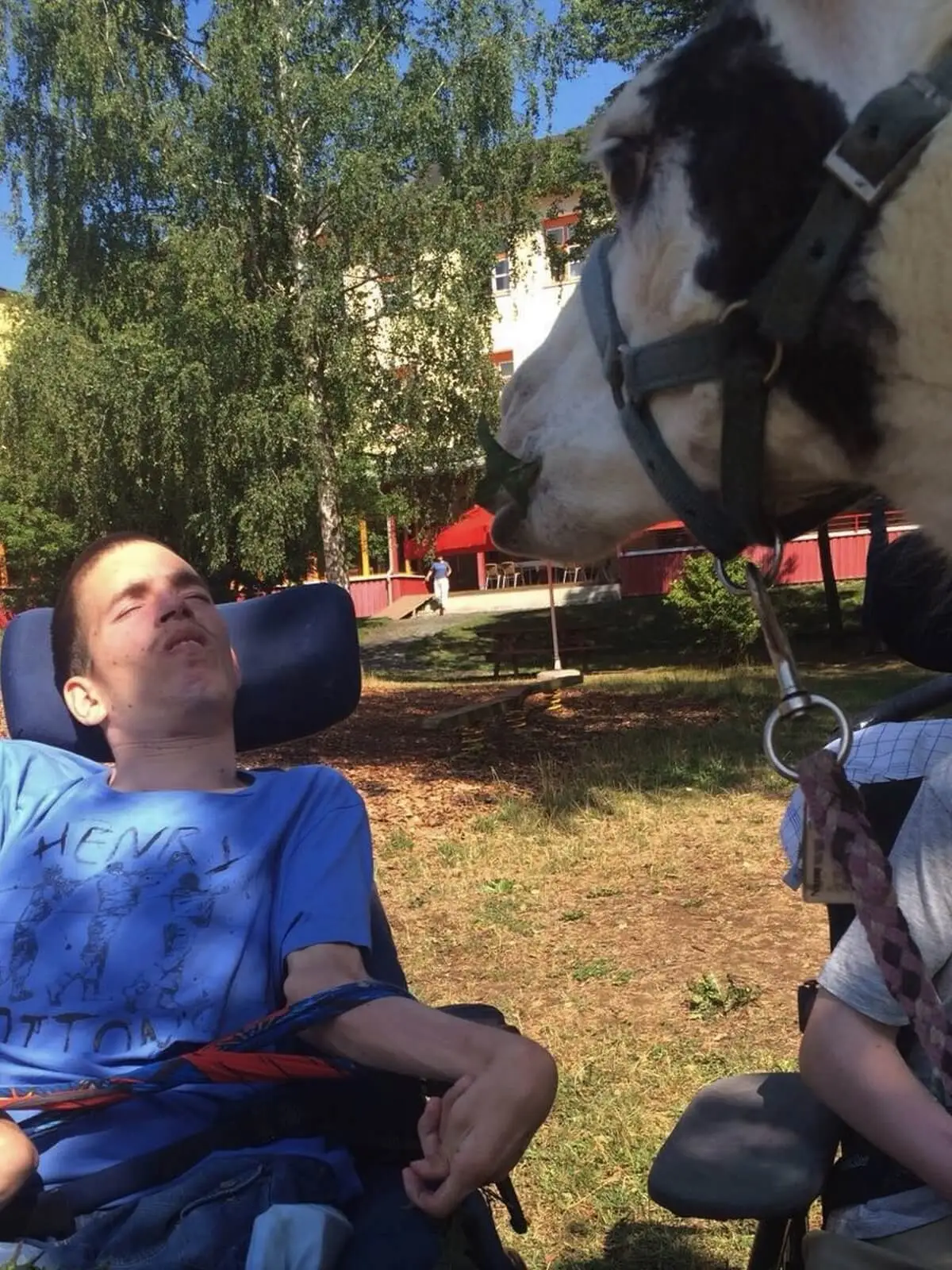 ferienohnehandicap-camp-I-2017_lamas_022