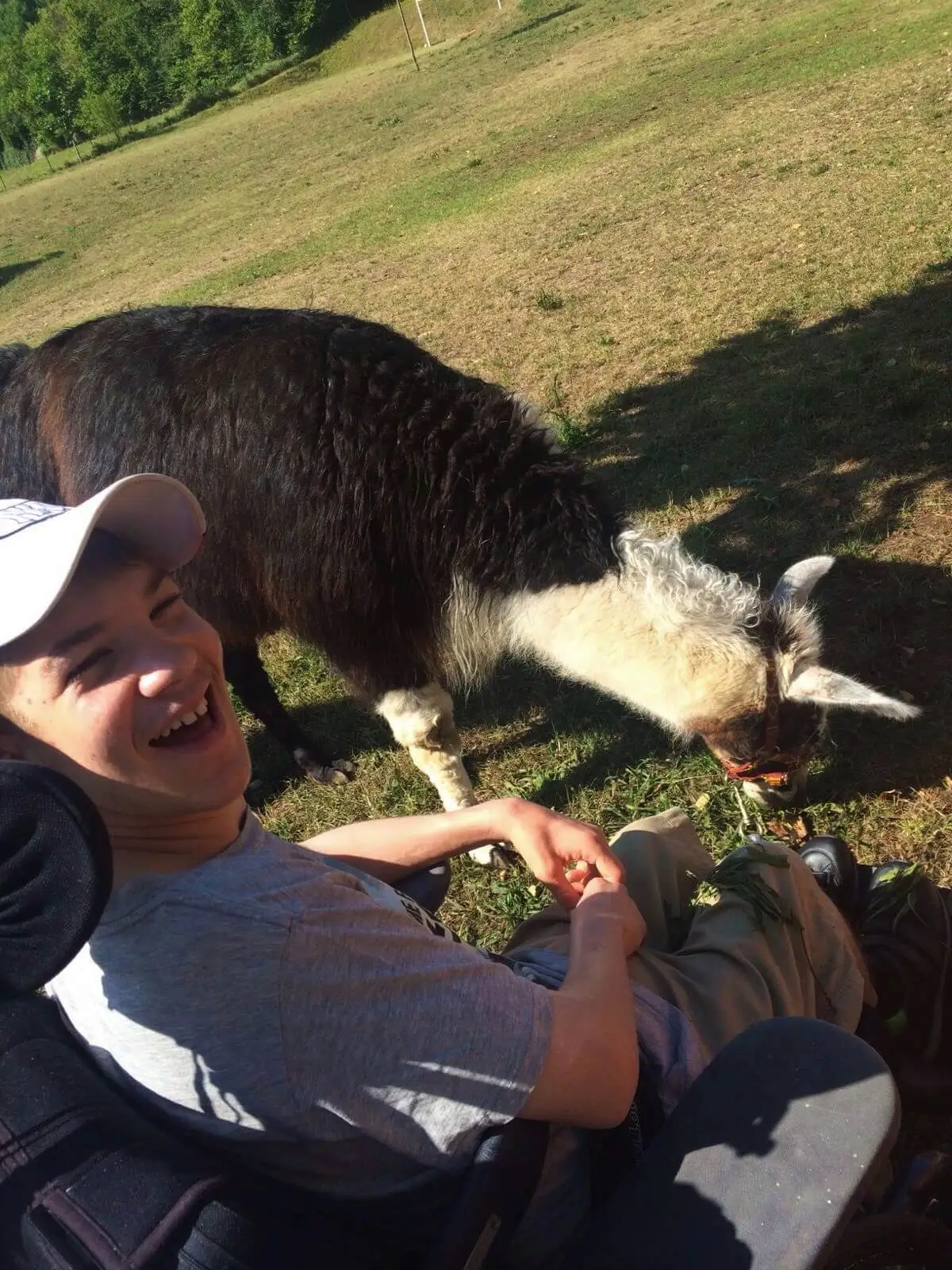 ferienohnehandicap-camp-I-2017_lamas_026