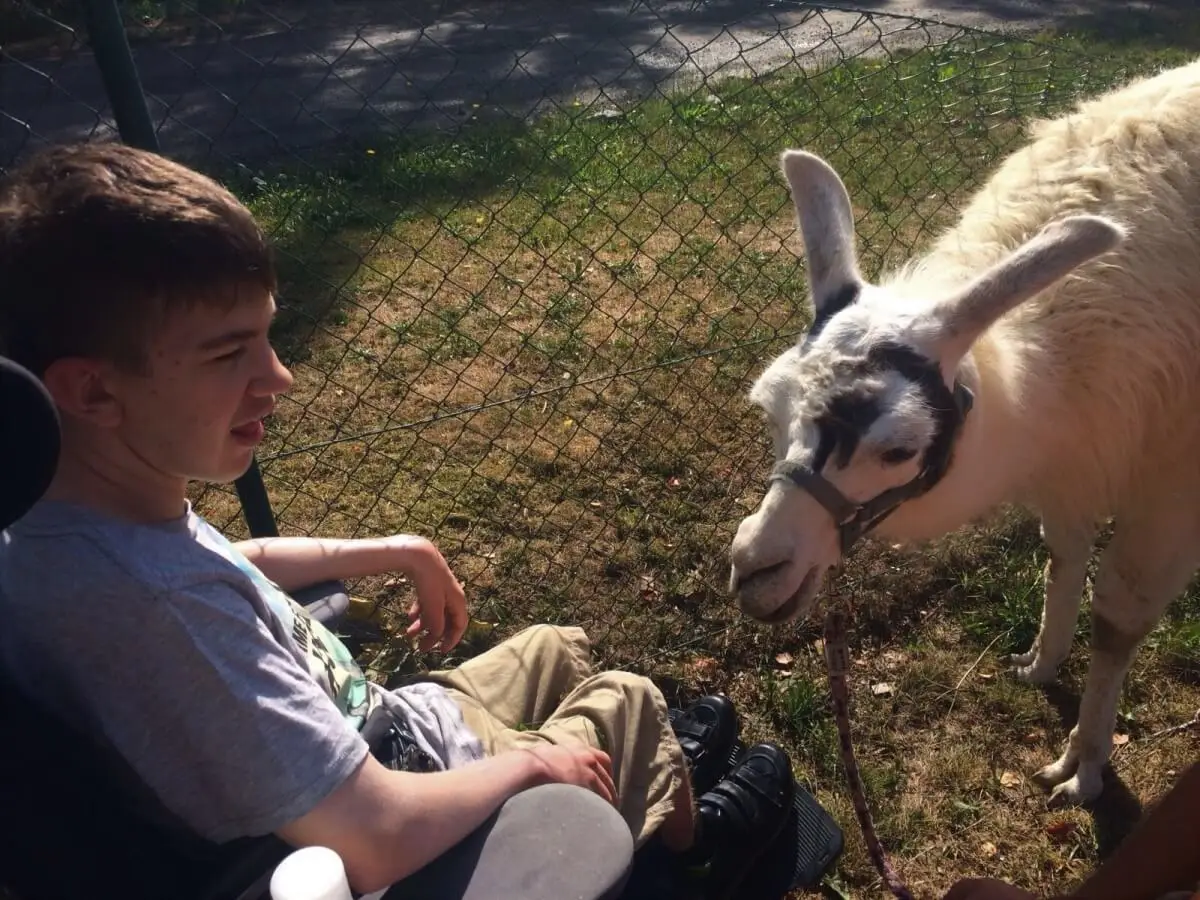 ferienohnehandicap-camp-I-2017_lamas_027