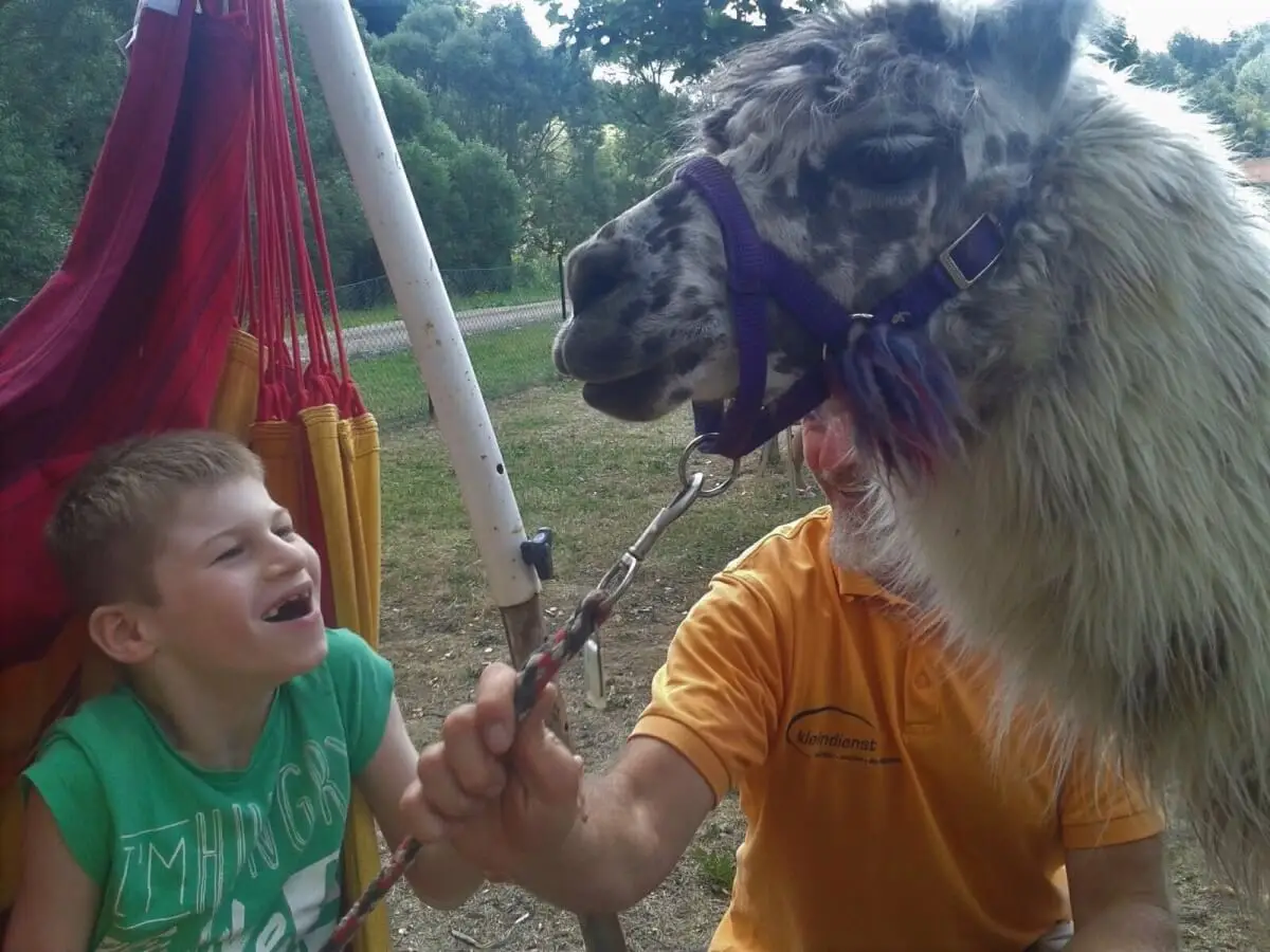 ferienohnehandicap-camp-I-2017_lamas_030