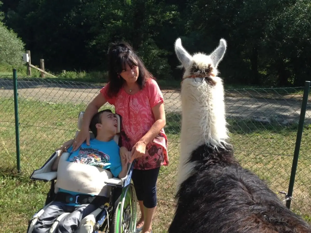 ferienohnehandicap-camp-I-2017_lamas_040