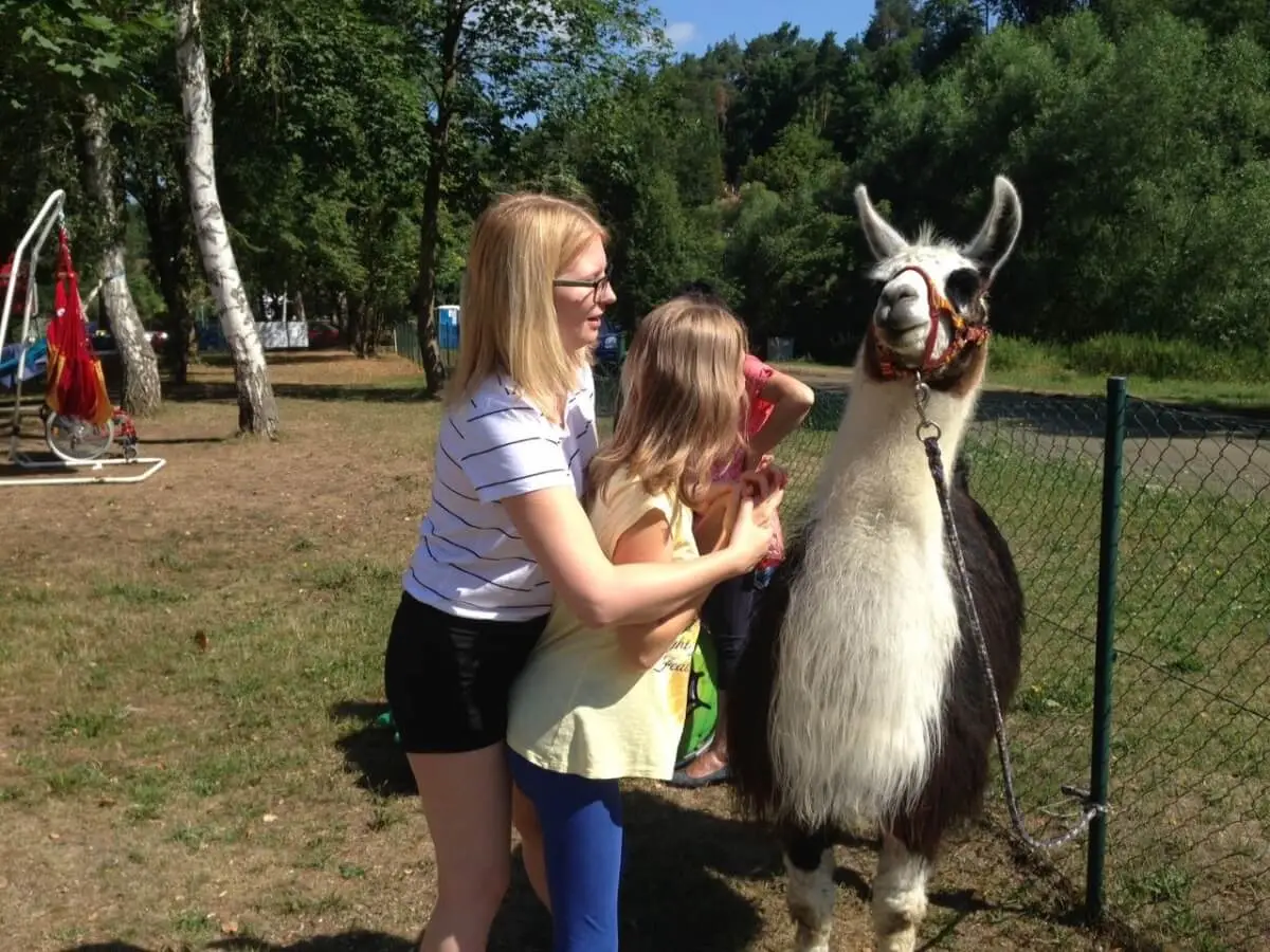 ferienohnehandicap-camp-I-2017_lamas_041