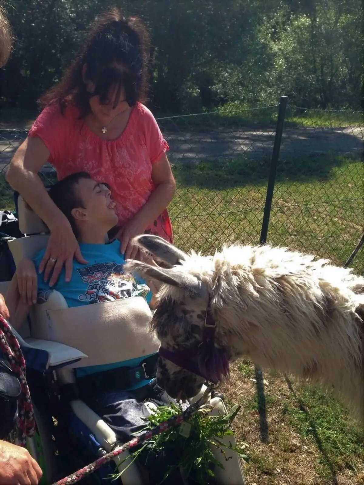 ferienohnehandicap-camp-I-2017_lamas_042