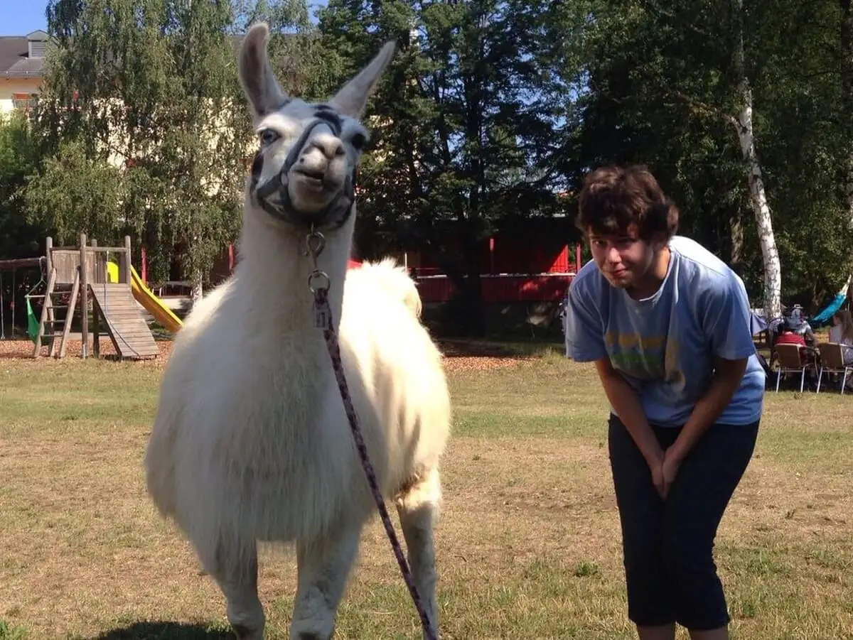 ferienohnehandicap-camp-I-2017_lamas_050